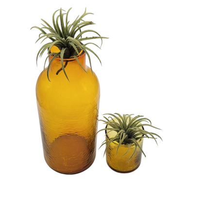 Handblown Hammered Glass Carafe